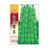 重慶本地受歡迎的四季豆品種，好吃好賣不易老化帶小時(shí)候的清香味