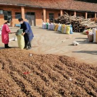 廠家批發(fā)湖北隨州油茶籽殼、茶粕、現(xiàn)貨量大從優(yōu)