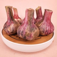 山東大蒜一件代發(fā) 干蒜，大干蒜 專業(yè)倉儲 ERP對接 5斤裝