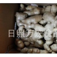 生產(chǎn)工廠供應(yīng)出口生姜，風(fēng)干姜，保鮮姜。