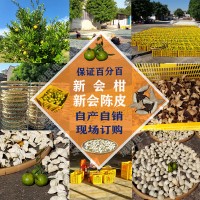 正宗新會(huì)柑、新會(huì)陳皮批發(fā)