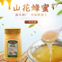 現(xiàn)貨供應土蜂蜜結晶山花蜂蜜500g瓶裝土特產洋槐蜂蜜一件代發(fā)