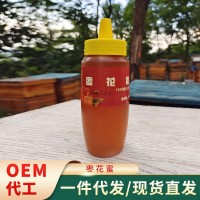 農(nóng)場(chǎng)供應(yīng)養(yǎng)殖蜂蜜 500g棗花蜜瓶裝 蜂蜜廠(chǎng)家供應(yīng)現(xiàn)貨代發(fā)