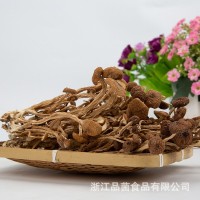 200g茶樹菇批發(fā) 農家自種不開傘茶薪菇食用菌菇干貨無硫特產樹菇