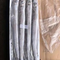 東山海釣大帶魚(yú)，野生釣帶，一件20斤，10公斤