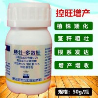 矮壯素多效唑小康控得力植物控旺劑縮節(jié)矮化50g植物生長(zhǎng)調(diào)節(jié)劑