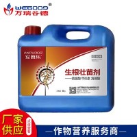 廠家批發(fā) 植物生長調(diào)節(jié)劑 ?；ūＥ蚬财諛飞鶋衙鐒?現(xiàn)貨批發(fā)