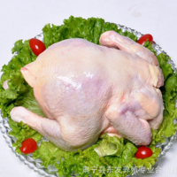 東發(fā)養(yǎng)殖農(nóng)家散養(yǎng)土雞童子雞整雞約750g/只走地雞三黃雞整噸銷(xiāo)售