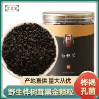 樺樹茸250g黑金顆粒白樺茸大塊長(zhǎng)白山樺褐孔菌白樺茸代發(fā)廠家直銷