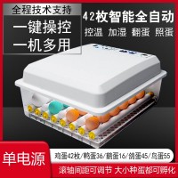 廠家直銷全自動雙電源孵化機孵化器孵化箱 雞蛋孵化設(shè)備