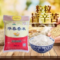 限購(gòu) 2022年新米華春香米江西特產(chǎn)奉新大米5KG10斤袋裝家用米廠(chǎng)家
