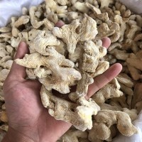 小黃姜 大福龍批發(fā)保質(zhì)量 新貨 姜塊干姜/展銷會/江湖 /地?cái)?/></a>
<div><a href=