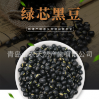 廠家直供黑皮綠仁烘炒黑豆-量大質(zhì)優(yōu)，出口品質(zhì)