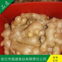 出口歐美、加拿大、荷蘭、英國級(jí)保鮮姜、風(fēng)干姜（價(jià)格面議）