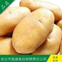供應(yīng)出口中東、東南亞級保鮮荷蘭7號、15號（價格面議）