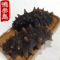 大連海參長(zhǎng)?？h深海即食海參遼參500g一件代發(fā)口感好工廠加工批發(fā)