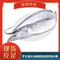 帶魚 海鮮 規(guī)格齊全 釣帶網帶 板凍條凍 新鮮現貨 可加工帶魚
