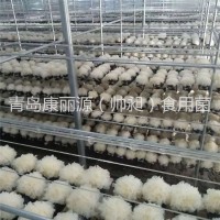 青島康麗源出口銀耳菌棒，銀耳菌包（日本雪耳）