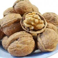 新貨上市，常年供應(yīng)核桃，質(zhì)量保證 價格優(yōu)惠