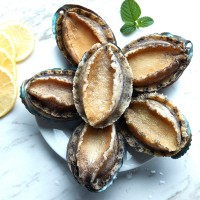 閩正煮凍鮑魚4頭-32頭鮑魚OEM、ODM定制生產(chǎn)來(lái)料加工海鮮水產(chǎn)凍品  2斤起批