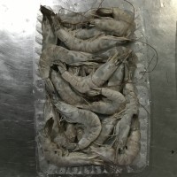 加工南美白對蝦，冷凍南美白對蝦，唐山南美白對蝦，天津南美蝦