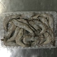 冷凍南美白對蝦，加工南美白對蝦，河北南美白對蝦，唐山南美對蝦