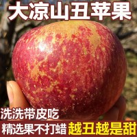 一件代發(fā) 四川大涼山丑蘋果冰糖心野生水果新鮮應季超脆甜紅富士
