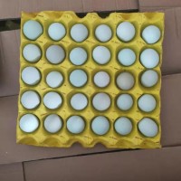 精品小綠殼蛋，凈重30-35斤，日撿日發(fā)