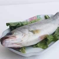 連云港水產批發(fā)海鮮鮮活鱸魚新鮮大鱸魚花鱸冷凍鱸魚公司飯店團購