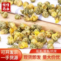桐鄉(xiāng)胎菊王 黃金菊干花 無硫蘇杭州白菊花草茶野菊花散裝現貨批發(fā)