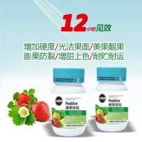 草莓專(zhuān)用 調(diào)節(jié)劑 葉面肥 硬果素膨果硬果增產(chǎn)硬果劑 廠家批發(fā)
