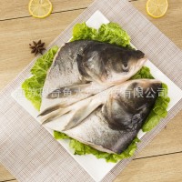 新鮮冷凍白鰱魚頭供應批發(fā)帶肉速凍大胖頭魚廠商供貨酒店食材