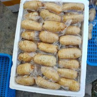 鮮天麻真空保鮮天麻一個(gè)一袋，酒店冰鎮(zhèn)天麻片，天麻食材長(zhǎng)年供應(yīng)