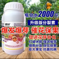 1000毫升多肉植物細(xì)胞分裂素催芽劑促花促生長?；ū９~面肥正品
