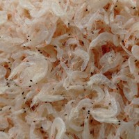 廠家直供天然烘干蝦皮 海味產(chǎn)品 流水線小蝦皮，【新品上市】