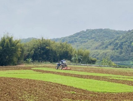 金融鏈接農(nóng)業(yè)精準(zhǔn)滴灌　助力“新農(nóng)人”追尋“稻田夢”