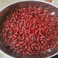 小方紅蕓豆圖片 英國紅價(jià)格 山西批發(fā)廠家常年供應(yīng)