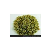 供應葡萄干 無核白一級葡萄干 優(yōu)質新疆特產(chǎn)葡萄干 批發(fā)新疆干果