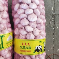 大蒜公司，源頭工廠供應金鄉(xiāng)出口大蒜，超市大蒜