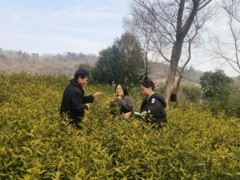 常州科技小院打通農(nóng)業(yè)科技服務(wù)“最后一公里”，助力鄉(xiāng)村振興