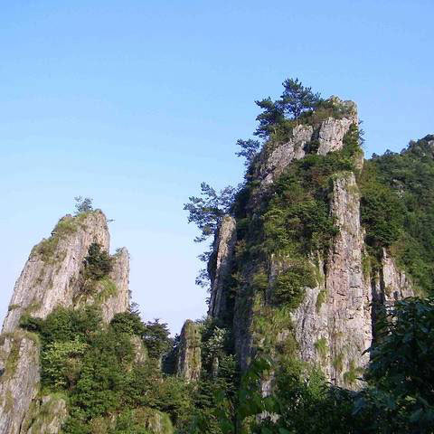 科技護(hù)林，走進(jìn)‘清涼峰’