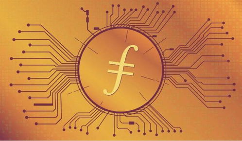 一本萬利的fil幣礦機代理適合哪類投資者