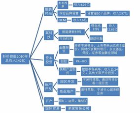 大公司投資管理基準研究之杉杉控股