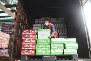 相信一切很快就會回到正軌 重慶臺企防疫 復工兩手抓