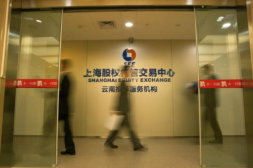 云南本一同順投資管理