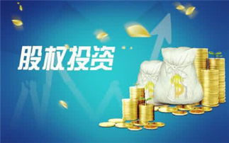 股權投資基金的經營范圍